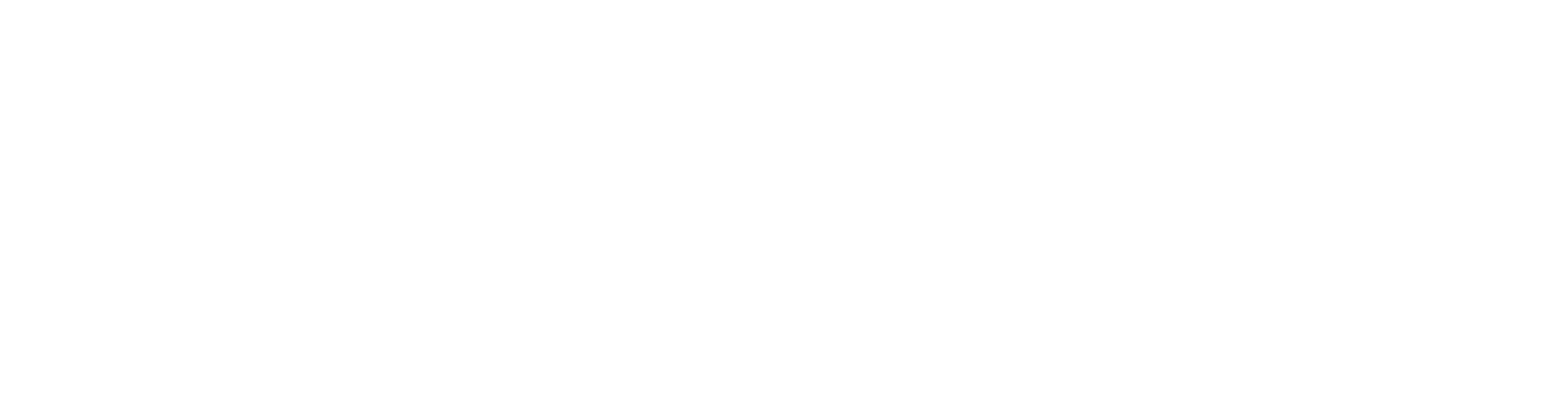 customer logo